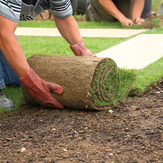 Artificial Turf